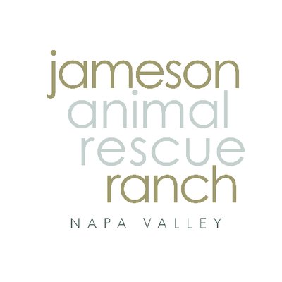 Jameson Animal Recue 2
